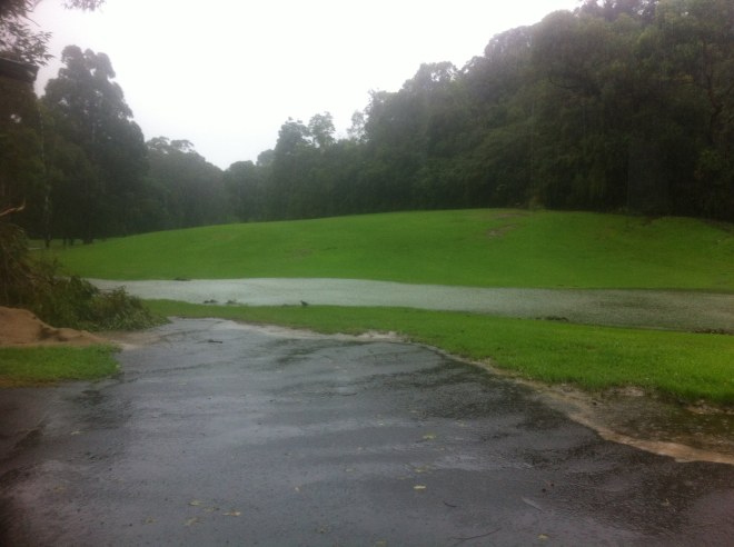 Lane Cove Golf Course new water feature